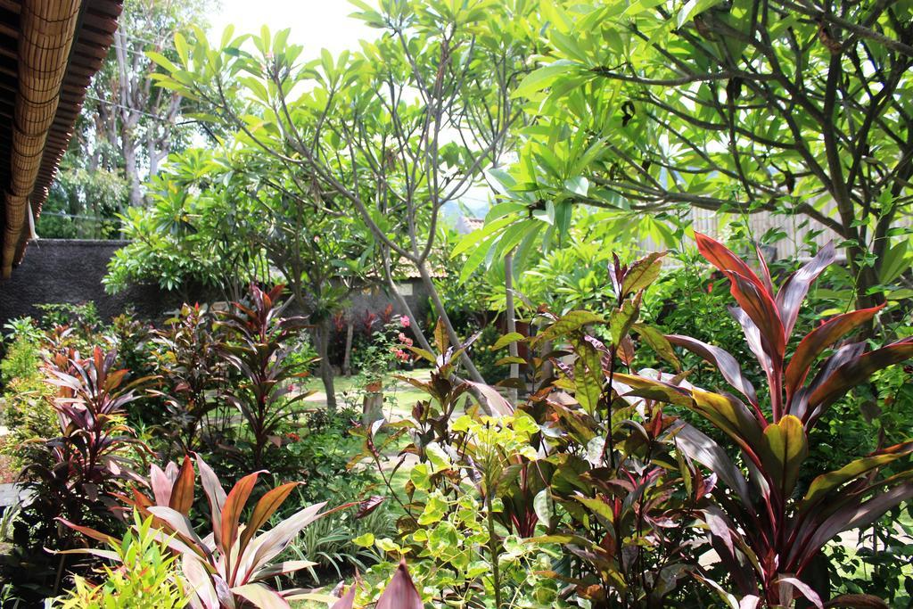 Pondok Shindu Guest House 페무테란 외부 사진